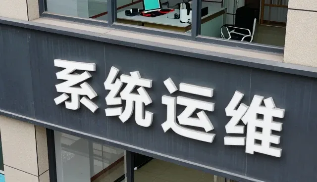 大连启明信息技术有限公司系统运维应用于旺季备货案例介绍